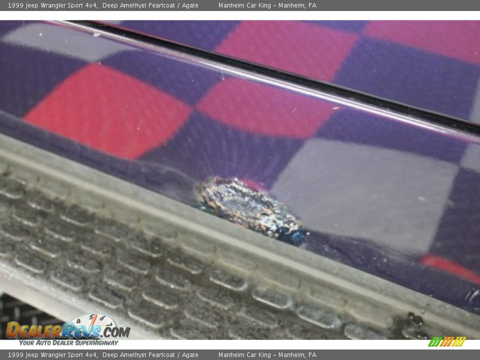 1999 Jeep Wrangler Sport 4x4 Deep Amethyst Pearlcoat / Agate Photo #19