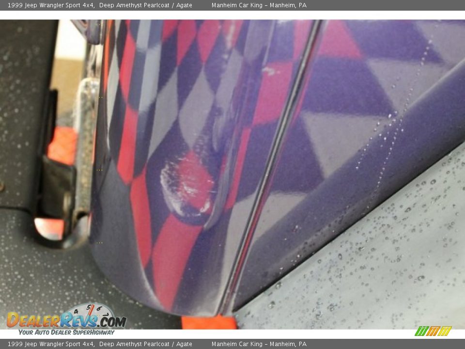 1999 Jeep Wrangler Sport 4x4 Deep Amethyst Pearlcoat / Agate Photo #20