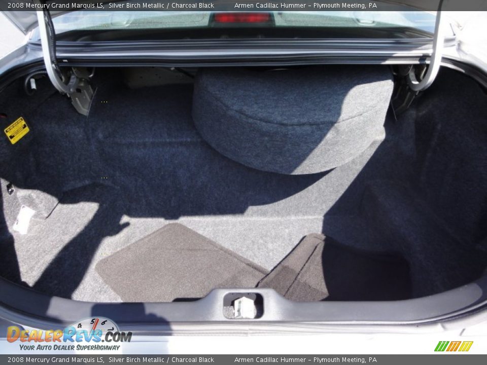 2008 Mercury Grand Marquis LS Silver Birch Metallic / Charcoal Black Photo #25