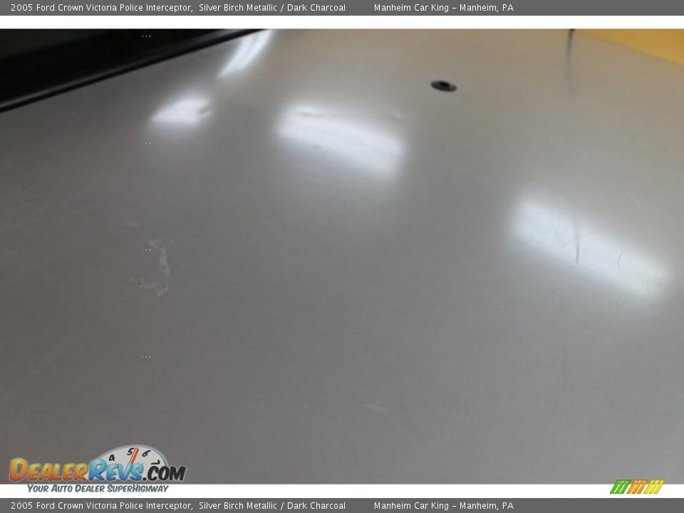 2005 Ford Crown Victoria Police Interceptor Silver Birch Metallic / Dark Charcoal Photo #17