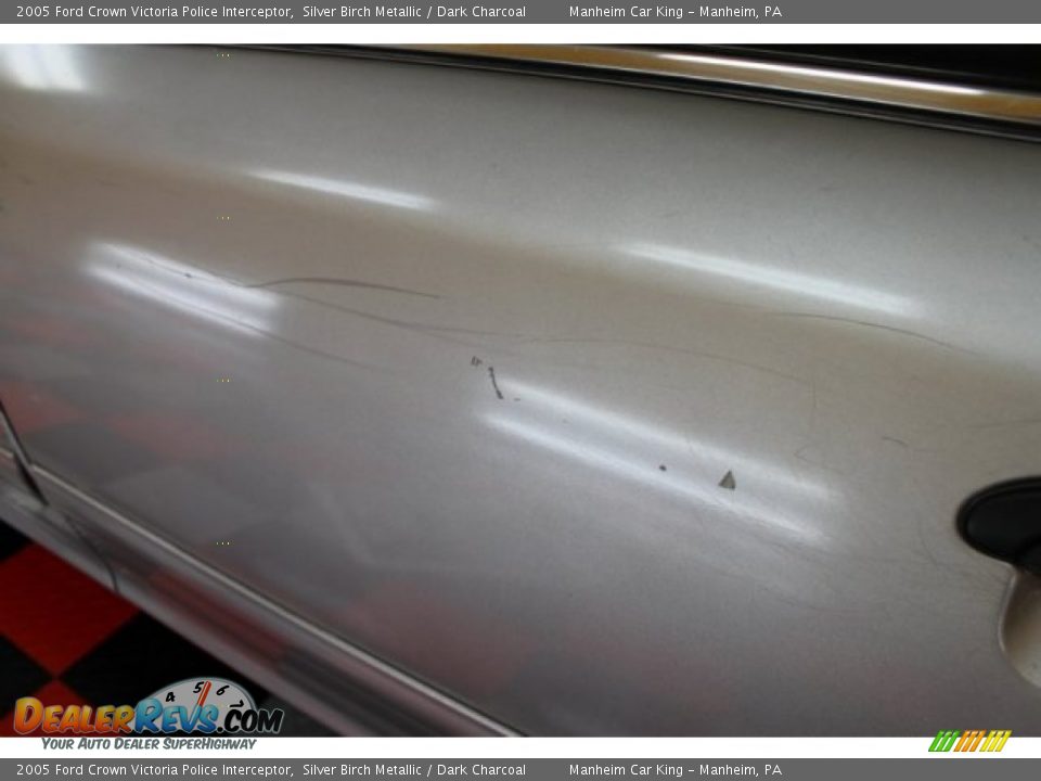 2005 Ford Crown Victoria Police Interceptor Silver Birch Metallic / Dark Charcoal Photo #20