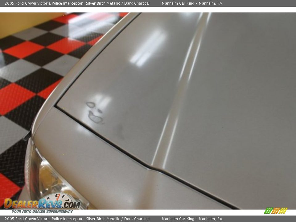 2005 Ford Crown Victoria Police Interceptor Silver Birch Metallic / Dark Charcoal Photo #23