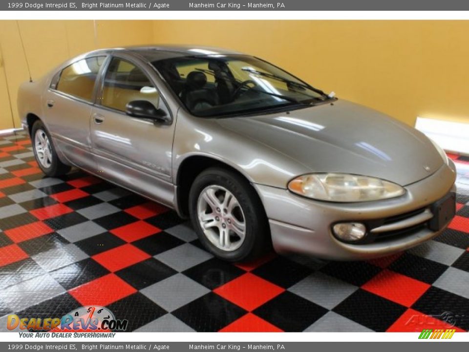 1999 Dodge Intrepid ES Bright Platinum Metallic / Agate Photo #1