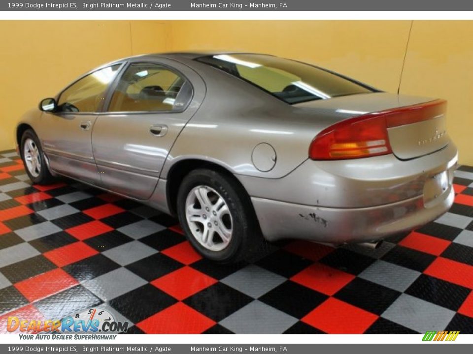 1999 Dodge Intrepid ES Bright Platinum Metallic / Agate Photo #3