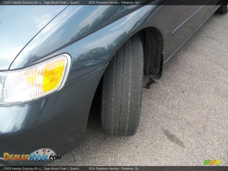 2003 Honda Odyssey EX-L Sage Brush Pearl / Quartz Photo #3