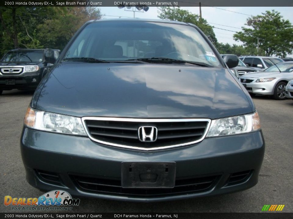 2003 Honda Odyssey EX-L Sage Brush Pearl / Quartz Photo #5