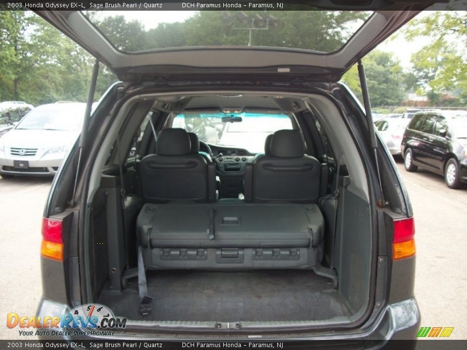 2003 Honda Odyssey EX-L Sage Brush Pearl / Quartz Photo #10