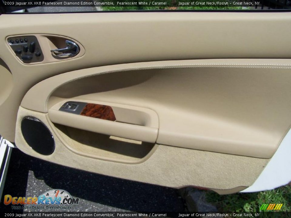 Door Panel of 2009 Jaguar XK XK8 Pearlescent Diamond Edition