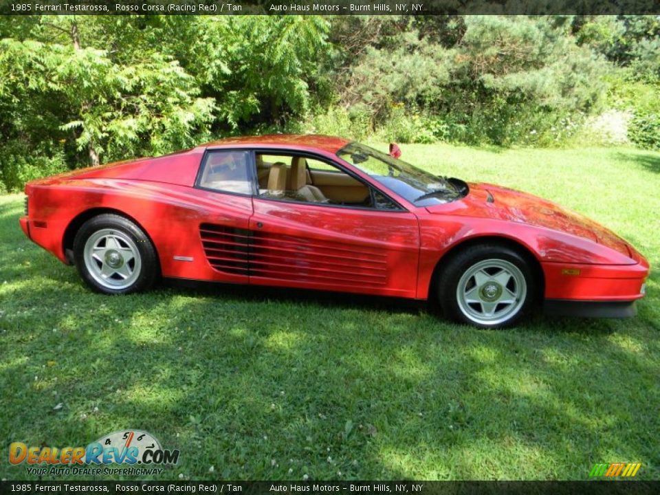 Rosso Corsa (Racing Red) 1985 Ferrari Testarossa  Photo #10