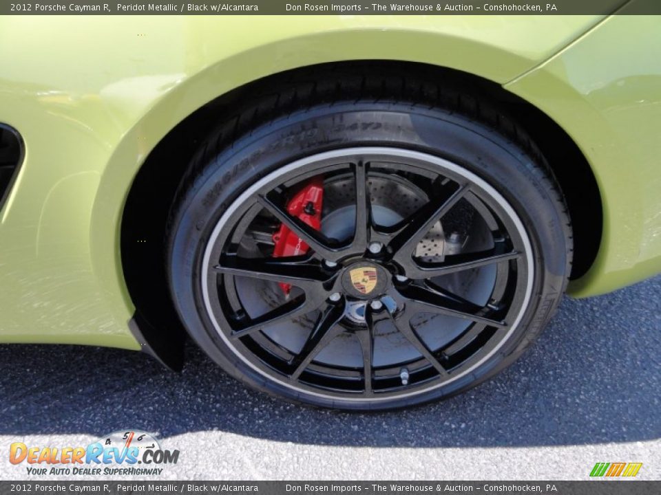 2012 Porsche Cayman R Wheel Photo #30