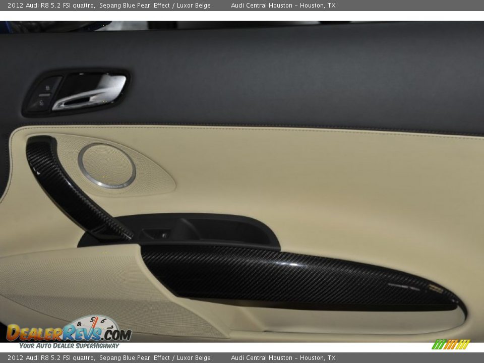 Door Panel of 2012 Audi R8 5.2 FSI quattro Photo #27
