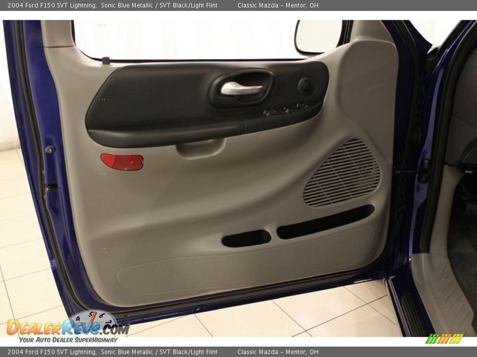 Door Panel of 2004 Ford F150 SVT Lightning Photo #7