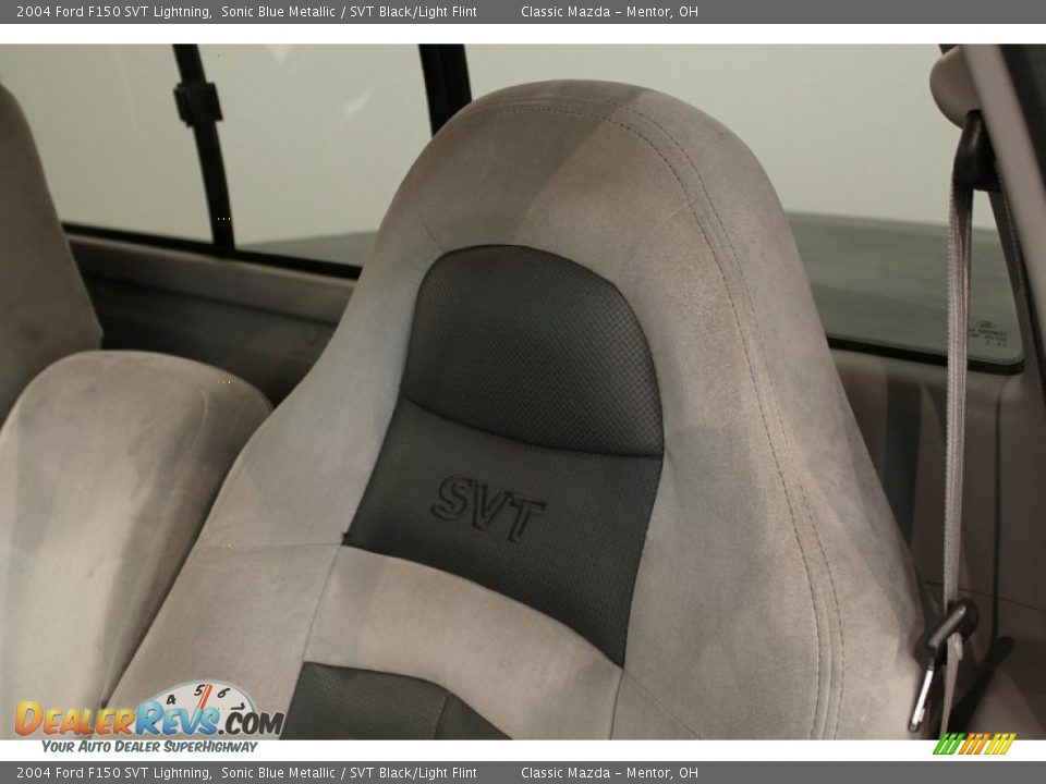 2004 Ford F150 SVT Lightning Logo Photo #12