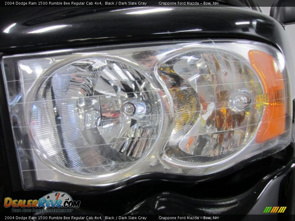 2004 Dodge Ram 1500 Rumble Bee Regular Cab 4x4 Black / Dark Slate Gray Photo #4