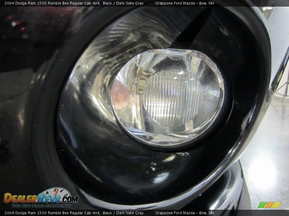 2004 Dodge Ram 1500 Rumble Bee Regular Cab 4x4 Black / Dark Slate Gray Photo #5
