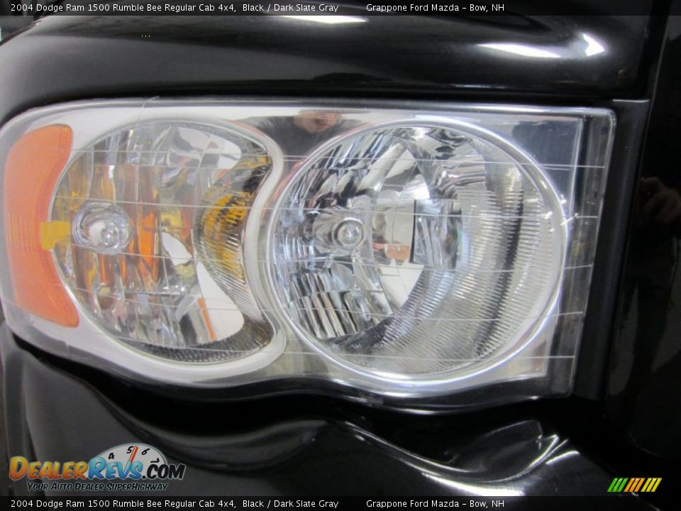 2004 Dodge Ram 1500 Rumble Bee Regular Cab 4x4 Black / Dark Slate Gray Photo #6