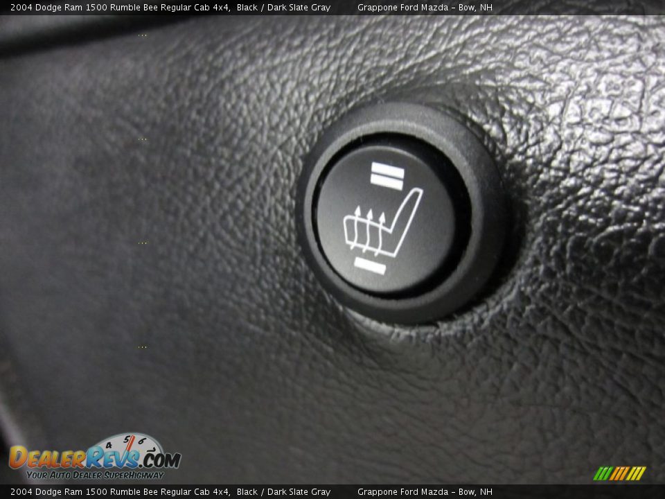 2004 Dodge Ram 1500 Rumble Bee Regular Cab 4x4 Black / Dark Slate Gray Photo #19