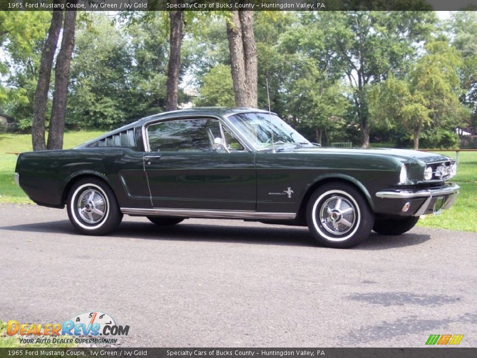 Ivy Green 1965 Ford Mustang Coupe Photo #3