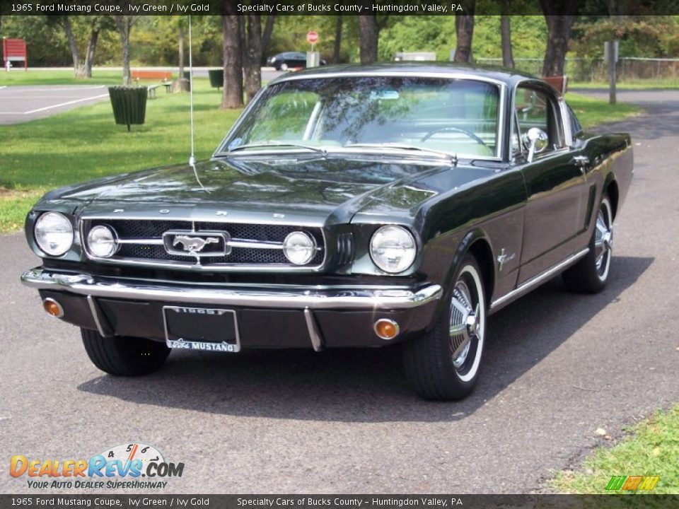Ivy Green 1965 Ford Mustang Coupe Photo #9