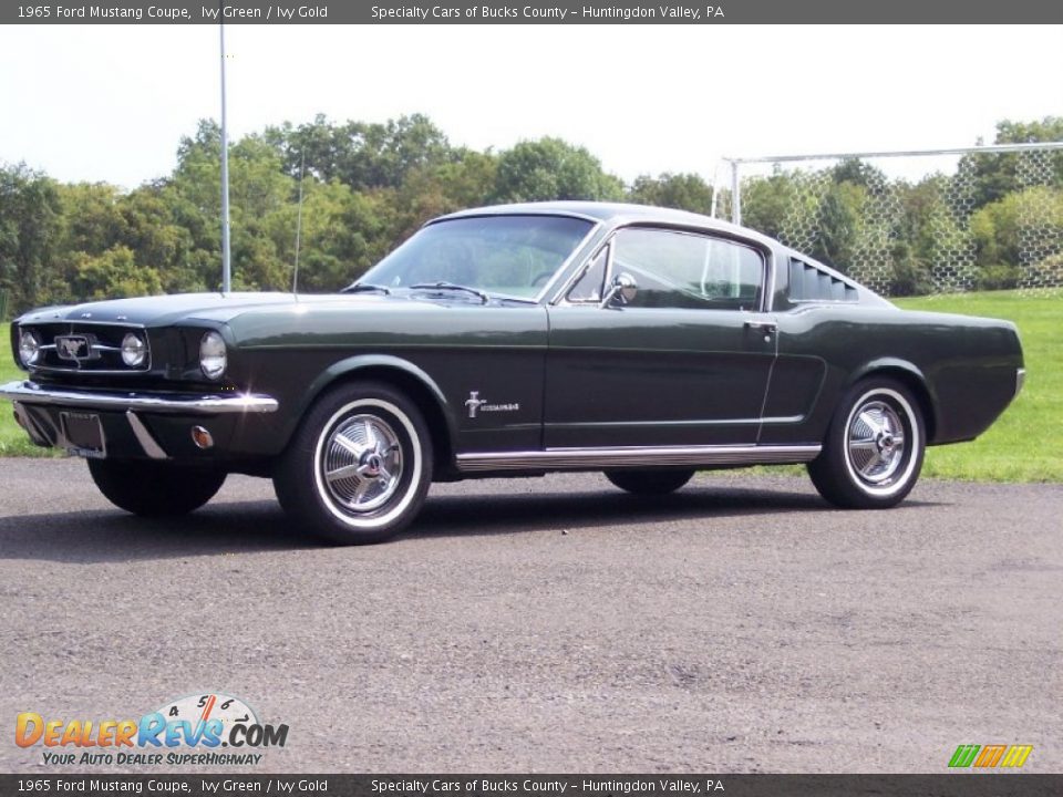 Ivy Green 1965 Ford Mustang Coupe Photo #12