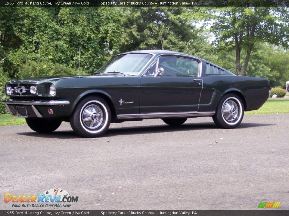 Ivy Green 1965 Ford Mustang Coupe Photo #13