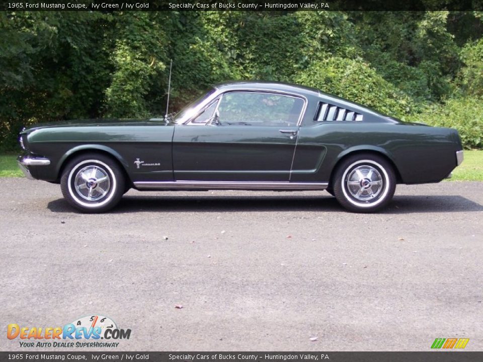 Ivy Green 1965 Ford Mustang Coupe Photo #14