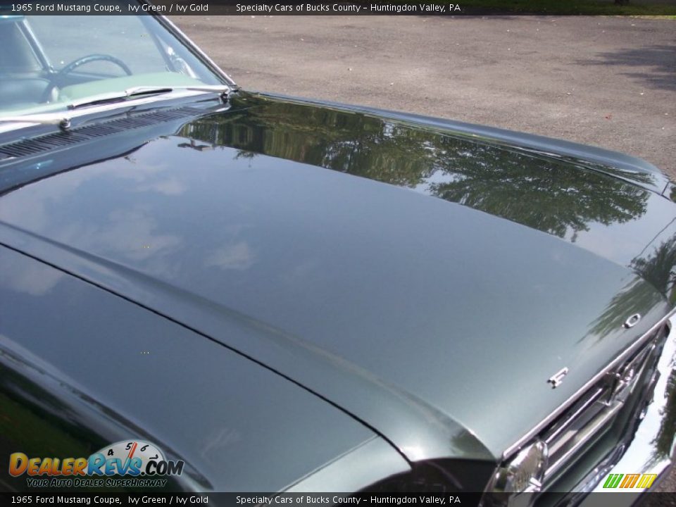 1965 Ford Mustang Coupe Ivy Green / Ivy Gold Photo #23