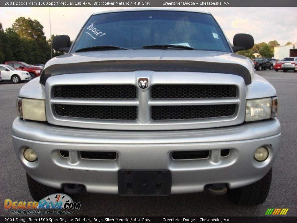 2001 Dodge Ram 1500 Sport Regular Cab 4x4 Bright Silver Metallic / Mist Gray Photo #8