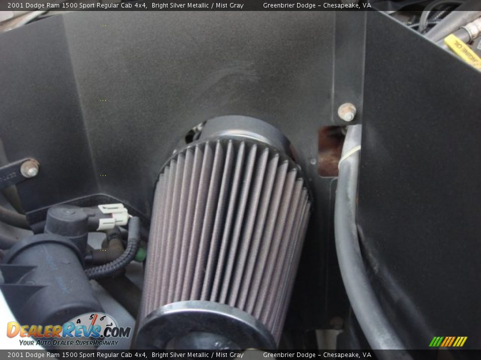 2001 Dodge Ram 1500 Sport Regular Cab 4x4 Bright Silver Metallic / Mist Gray Photo #17