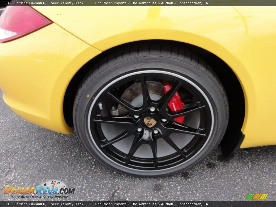 2012 Porsche Cayman R Wheel Photo #25