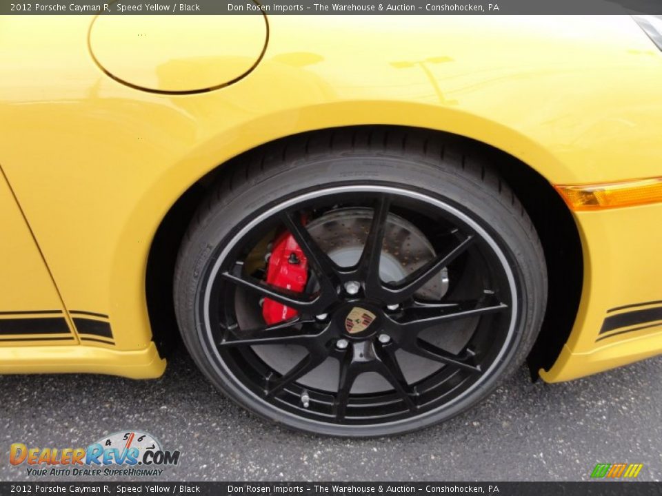 2012 Porsche Cayman R Wheel Photo #26
