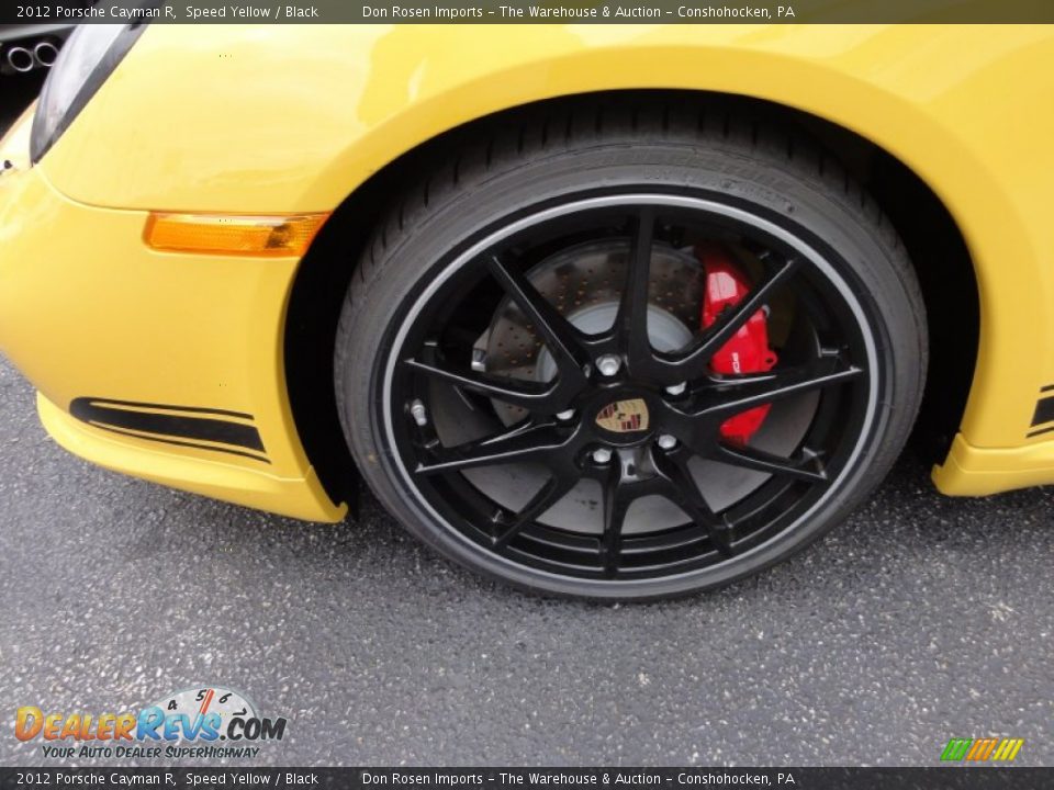 2012 Porsche Cayman R Wheel Photo #28