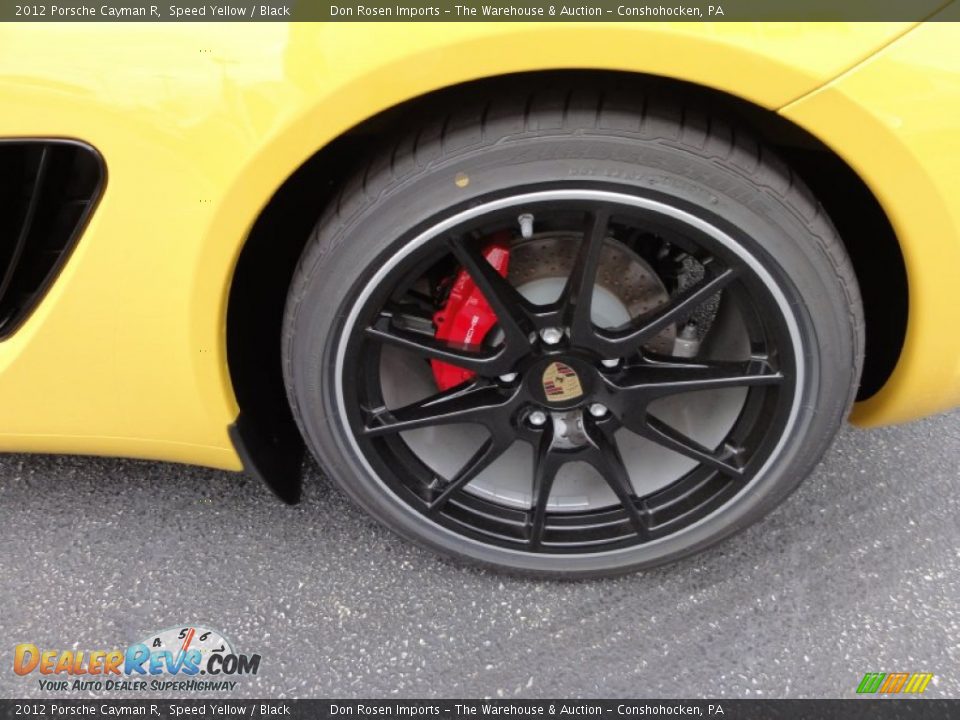 2012 Porsche Cayman R Wheel Photo #29
