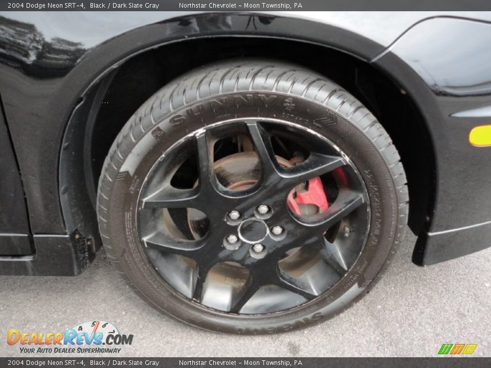 2004 Dodge Neon SRT-4 Black / Dark Slate Gray Photo #8