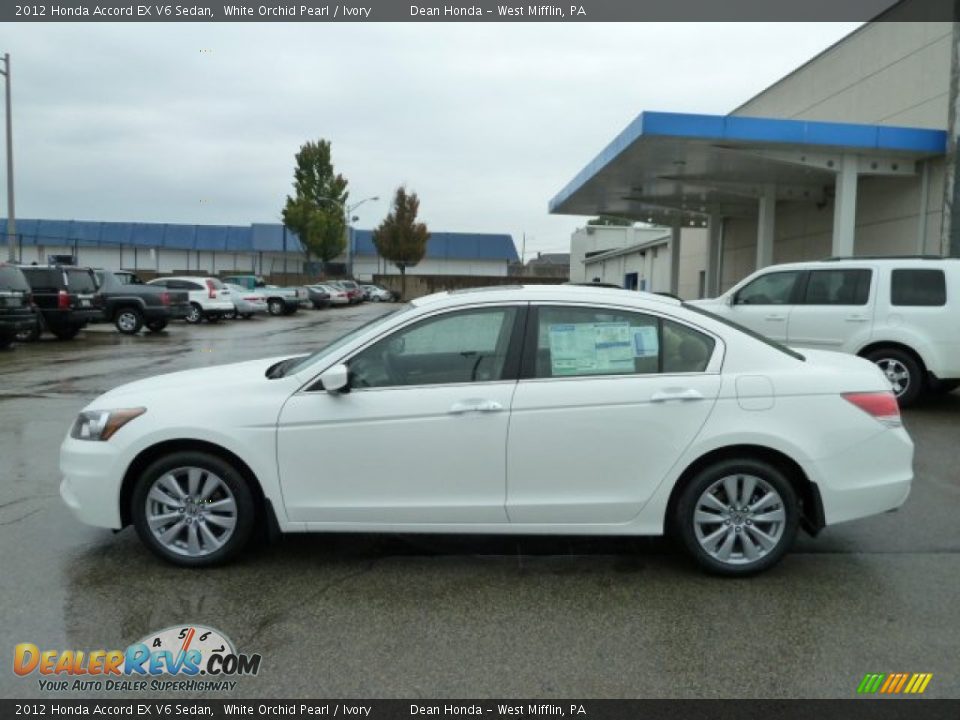 Honda accord v6 white #2