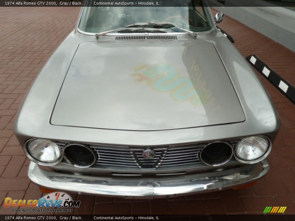 Gray 1974 Alfa Romeo GTV 2000 Photo #8