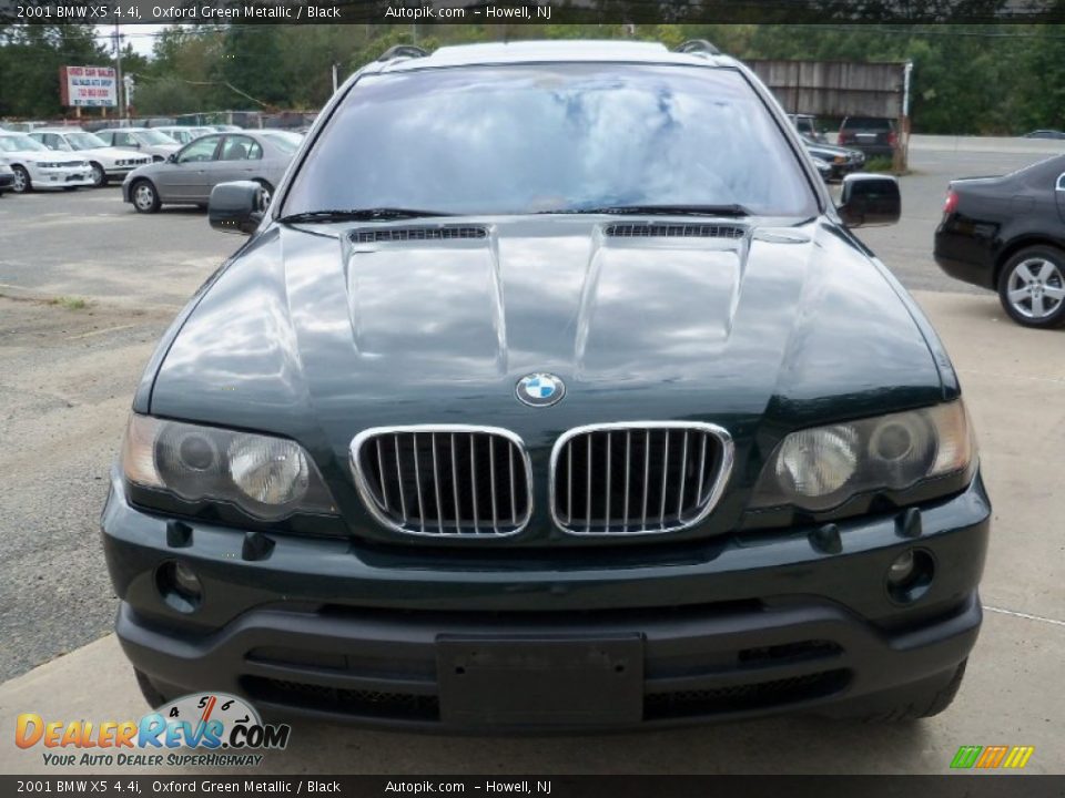 2001 BMW X5 4.4i Oxford Green Metallic / Black Photo #1