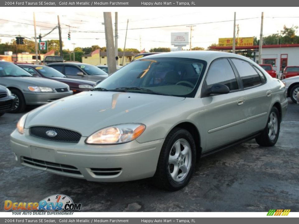 2004 Ford Taurus SE Sedan Gold Ash Metallic / Medium Parchment Photo #5