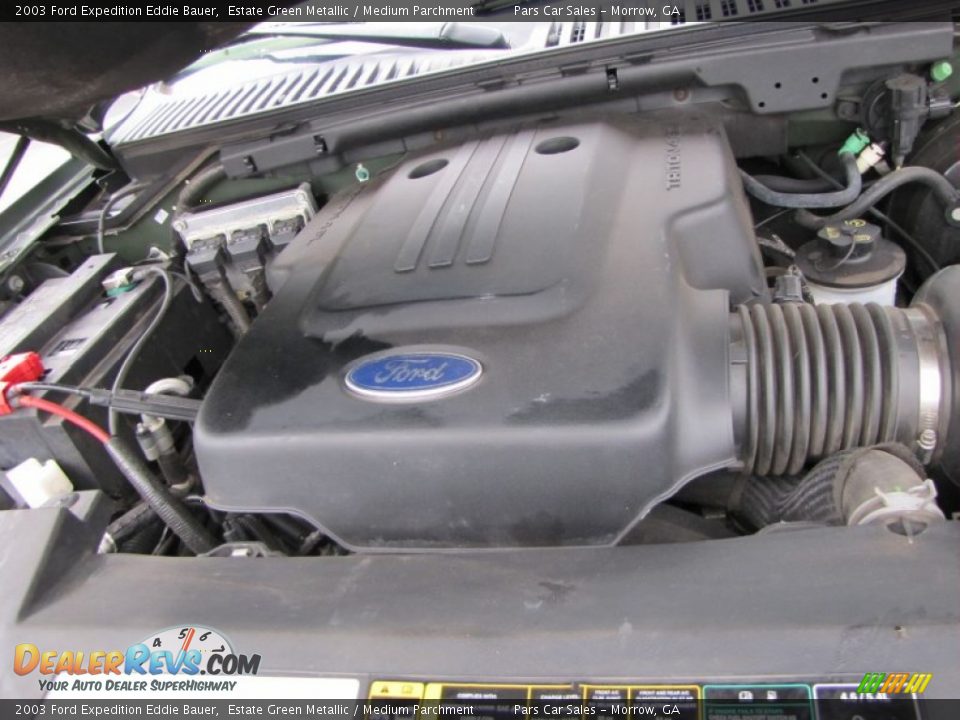 2003 Ford Expedition Eddie Bauer Estate Green Metallic / Medium Parchment Photo #15