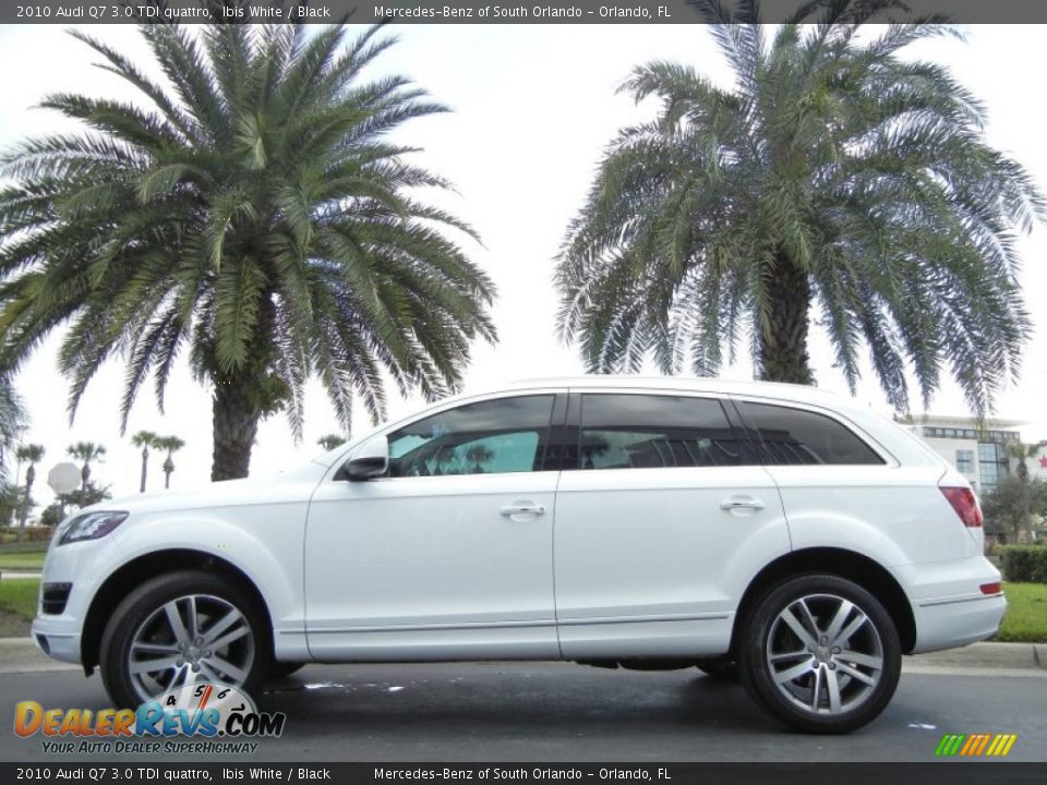 2010 Audi Q7 3.0 TDI quattro Ibis White / Black Photo #1