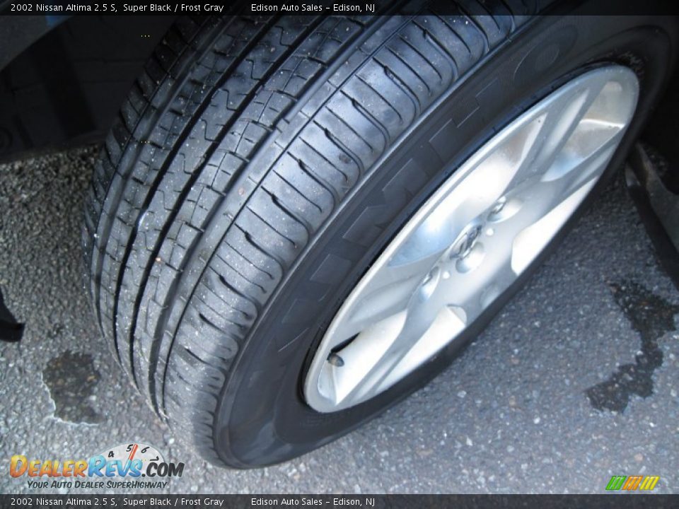 2002 Nissan Altima 2.5 S Super Black / Frost Gray Photo #28