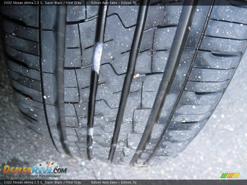 2002 Nissan Altima 2.5 S Super Black / Frost Gray Photo #29