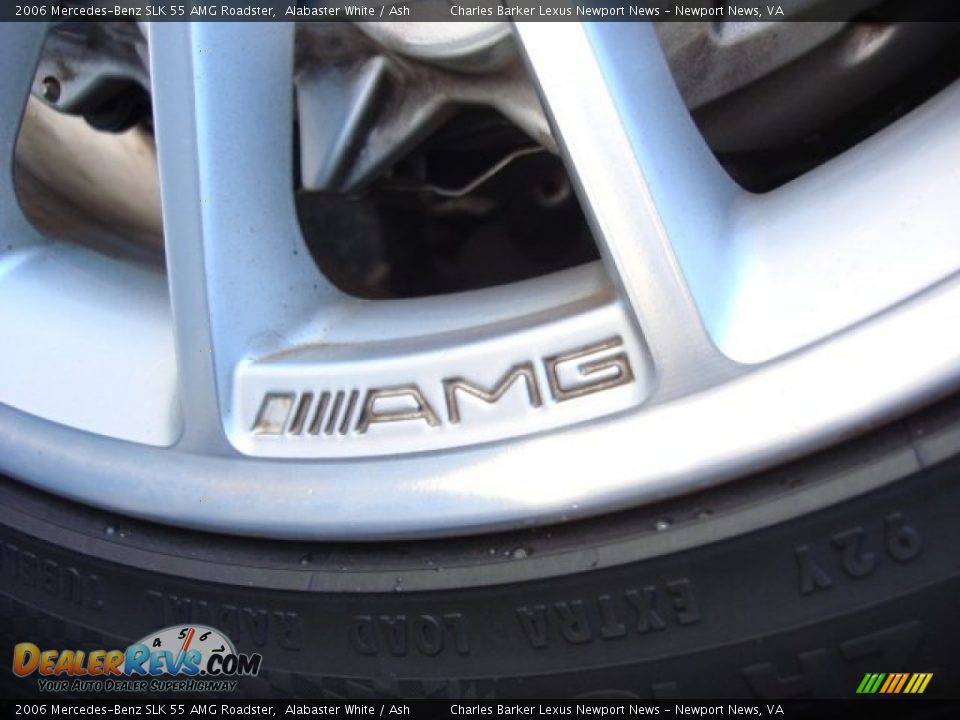 2006 Mercedes-Benz SLK 55 AMG Roadster Logo Photo #22