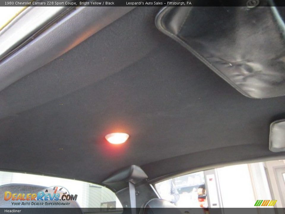 Headliner - 1980 Chevrolet Camaro
