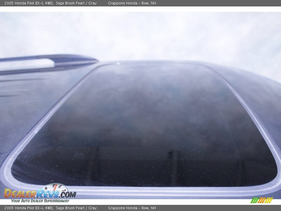 2005 Honda Pilot EX-L 4WD Sage Brush Pearl / Gray Photo #14