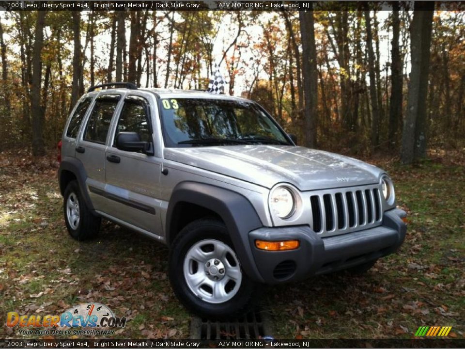 Bright Silver Metallic 2003 Jeep Liberty Sport 4x4 Photo #1