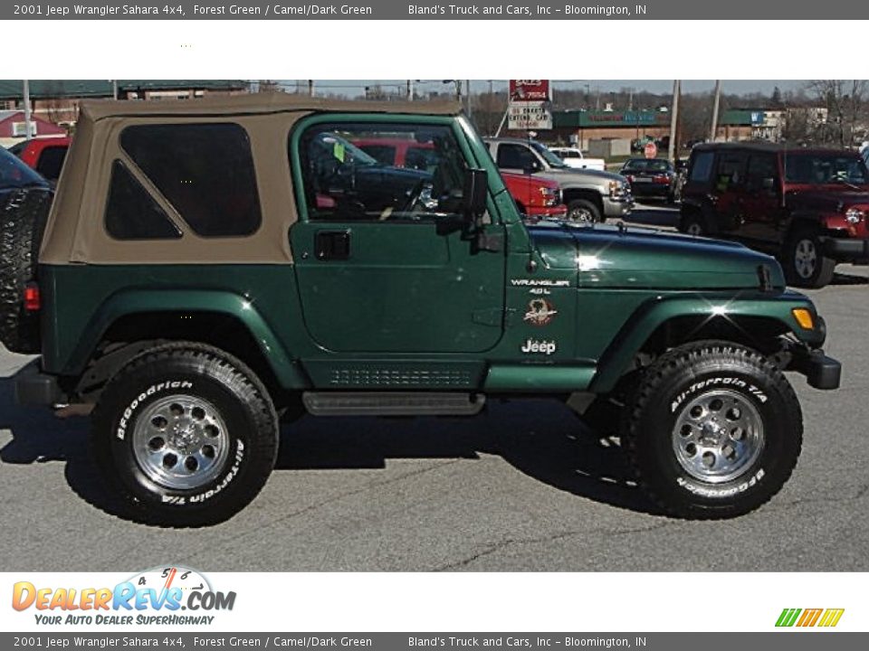 2001 Jeep Wrangler Sahara 4x4 Forest Green / Camel/Dark Green Photo #2