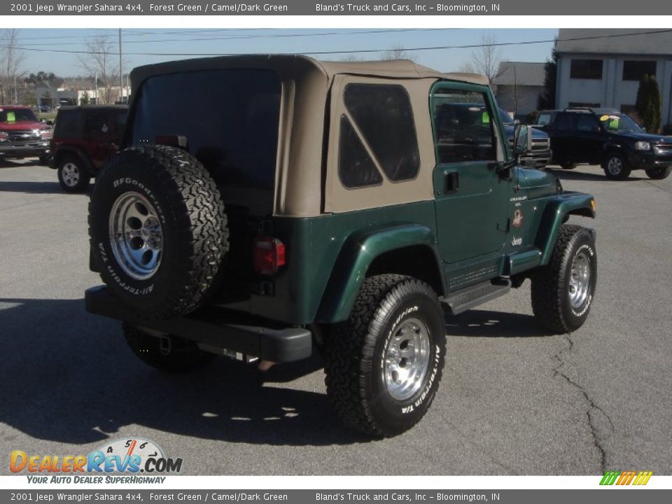 2001 Jeep Wrangler Sahara 4x4 Forest Green / Camel/Dark Green Photo #3