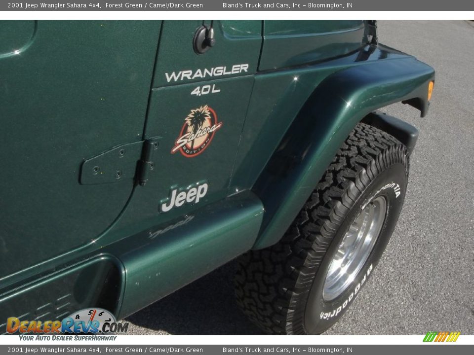 2001 Jeep Wrangler Sahara 4x4 Forest Green / Camel/Dark Green Photo #15