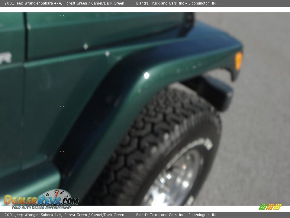 2001 Jeep Wrangler Sahara 4x4 Forest Green / Camel/Dark Green Photo #16